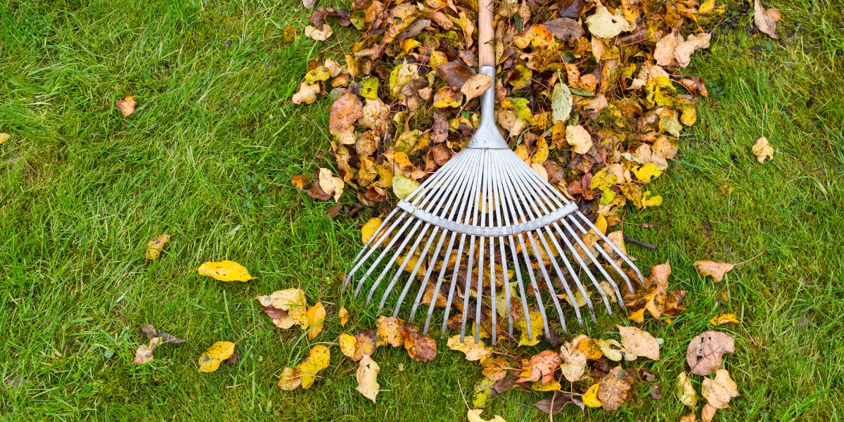 Rasenpflege im Herbst Stephan Schweizer Gartenbau Thun